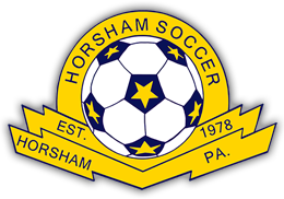 HSA_logo (1) HSA_logo (1)